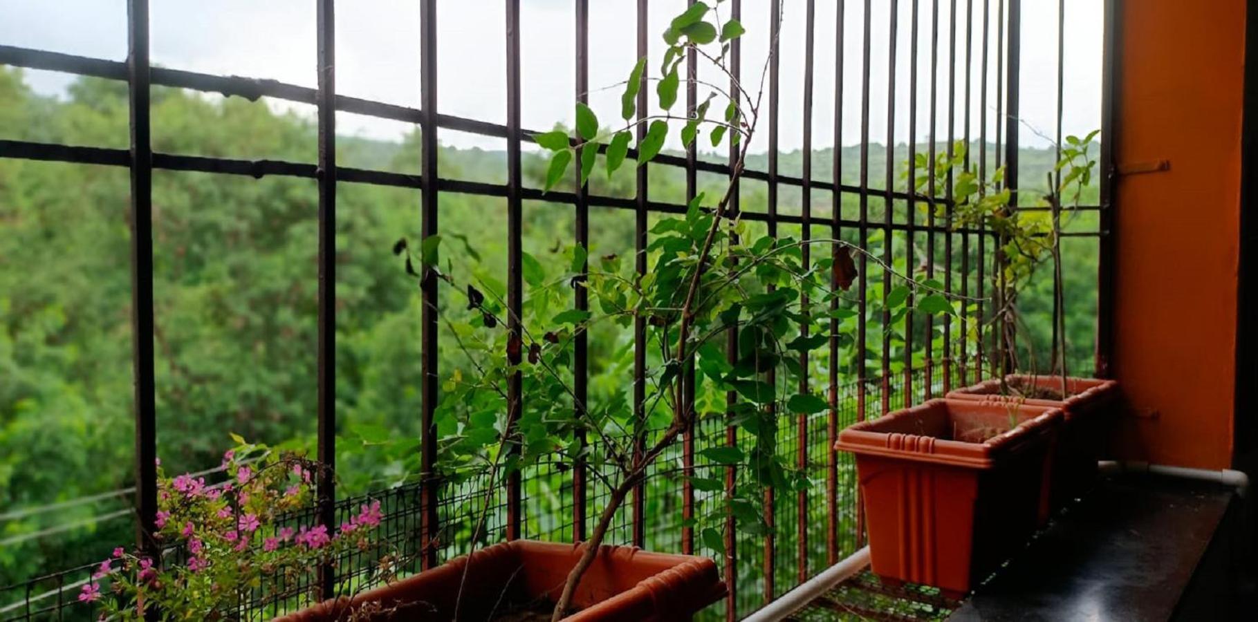 ElloraAbhayanand Agro Tourism别墅 外观 照片